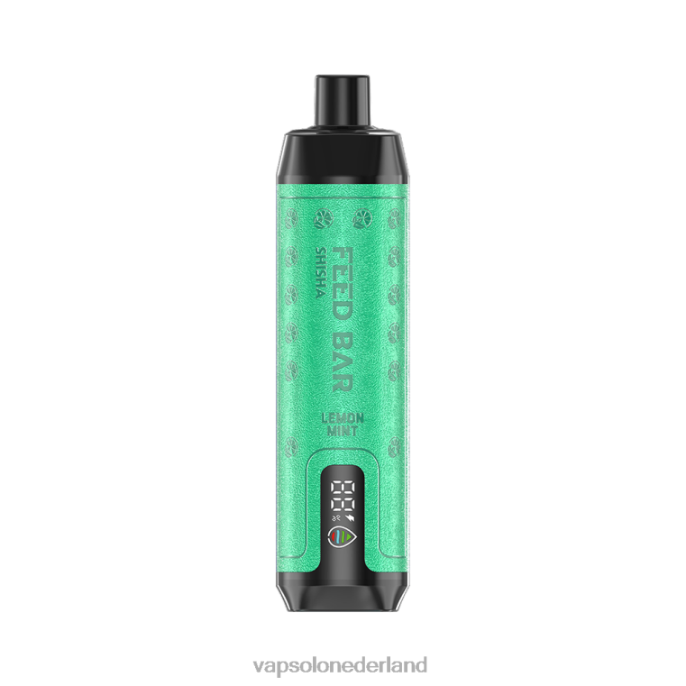 VapSolo SHISHA wegwerp damp citroen munt 4F6RX7 - Vapsolo Flavours