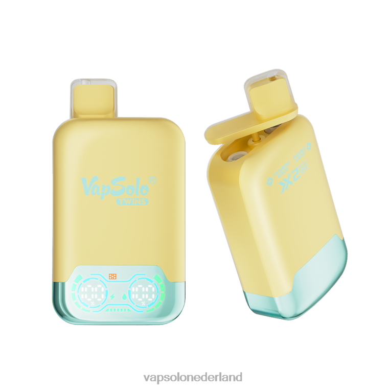 VapSolo TWINS wegwerp damp ananas-kokosnoot & aardbei-banaan 4F6RX31 - Vapsolo Flavours