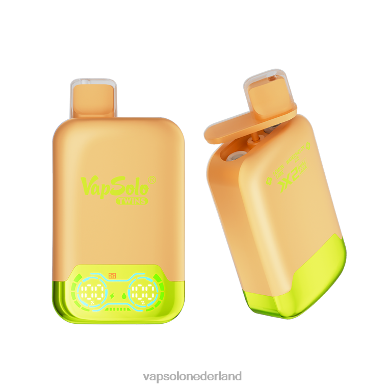 VapSolo TWINS wegwerp damp citroen-limoen- en watermeloenijs 4F6RX29 - Vapsolo Nederland
