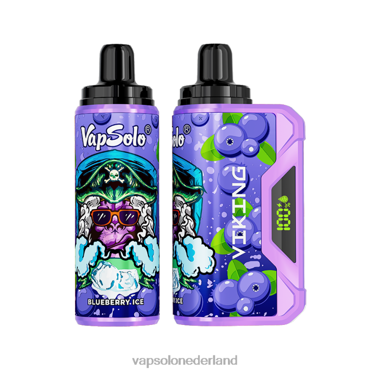 VapSolo VIKING wegwerp damp bosbes 4F6RX36 - Vapsolo Vape
